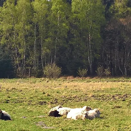 بيت ضيافة Hotel-pension Seeadler