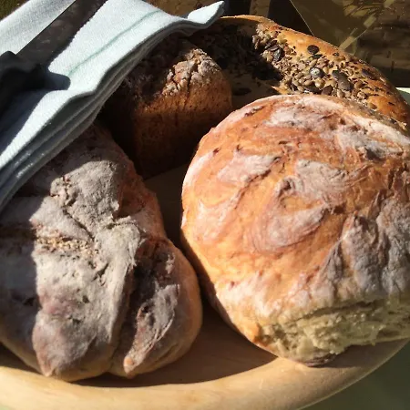 בית הארחה Hotel-pension Seeadler פרראו