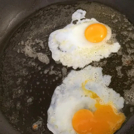 Hotel-pension Seeadler 3* بريرو