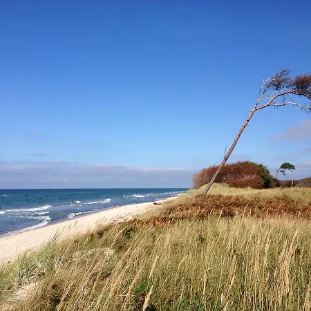 Hotel-pension Seeadler 3* بريرو