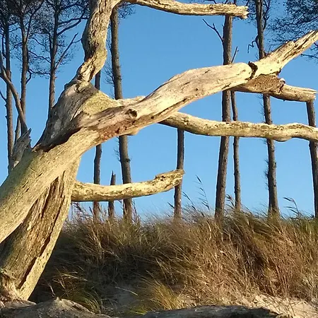 Hotel-pension Seeadler בית הארחה