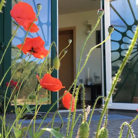 بيت ضيافة Hotel-pension Seeadler 3*