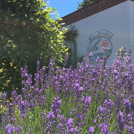 Hotel-pension Seeadler بريرو