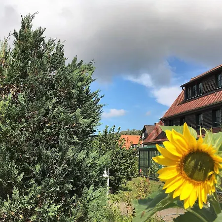 بيت ضيافة Hotel-pension Seeadler 3*