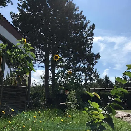 بيت ضيافة Hotel-pension Seeadler بريرو