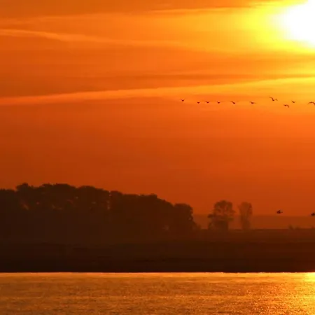 بيت ضيافة Hotel-pension Seeadler بريرو